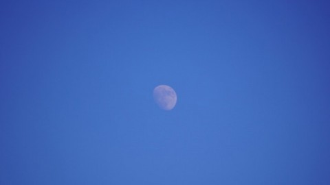 月を撮ってみました！(7月29日 17時35分)